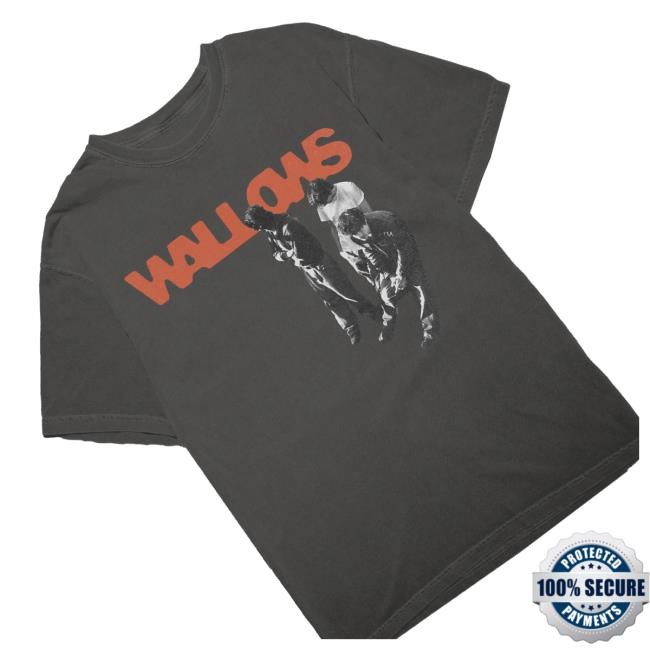 Official Wallows Music Merch Shop Store Waiting Photo T Shirts - New Tee Shop