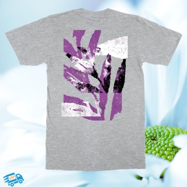 The Album Leaf Merch Future Falling Exclusive T-Shirt Grey - New Tee Shop